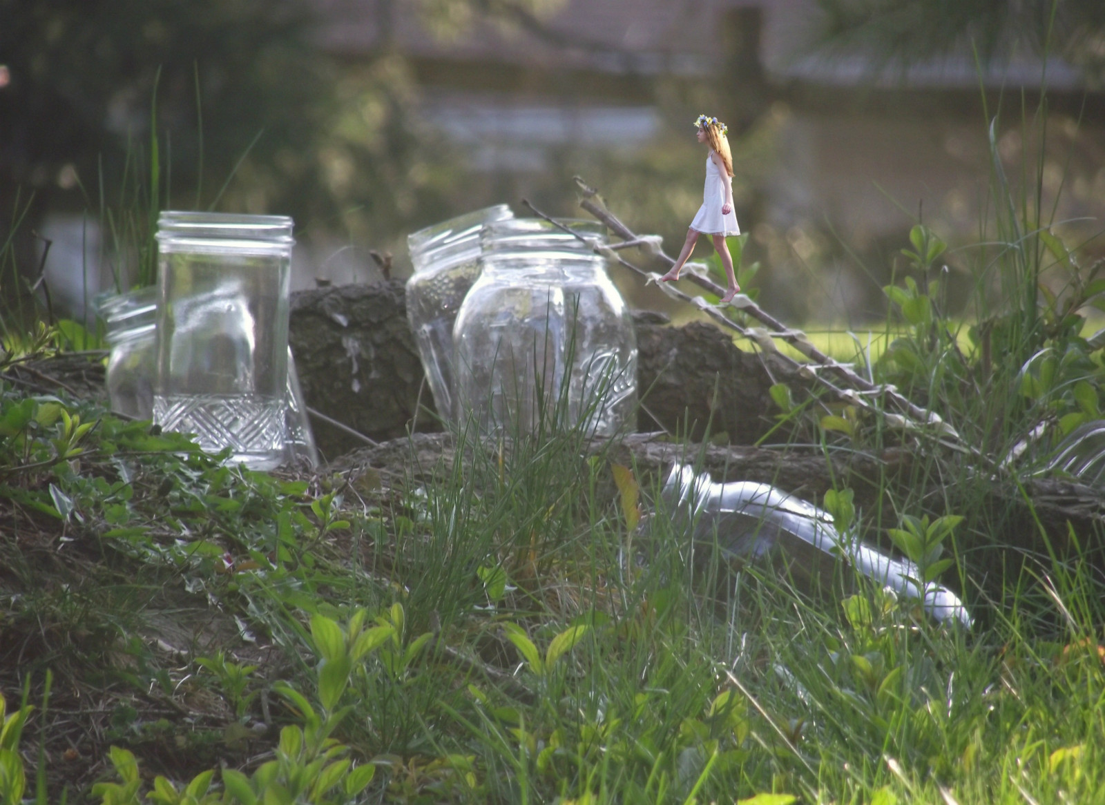 Příroda, dívka, tráva, miniaturní, hlavní sídlo, mini, Skřítek, víla, žebřík, větvičky, džbány, Masonjars, květinová koruna, Iguessijustlikefairies, Ve skutečnosti se jednalo o likéry, Whydoihavesoomanyfairyphotos, Ujistit se, že tunely v zemi jsou namazané