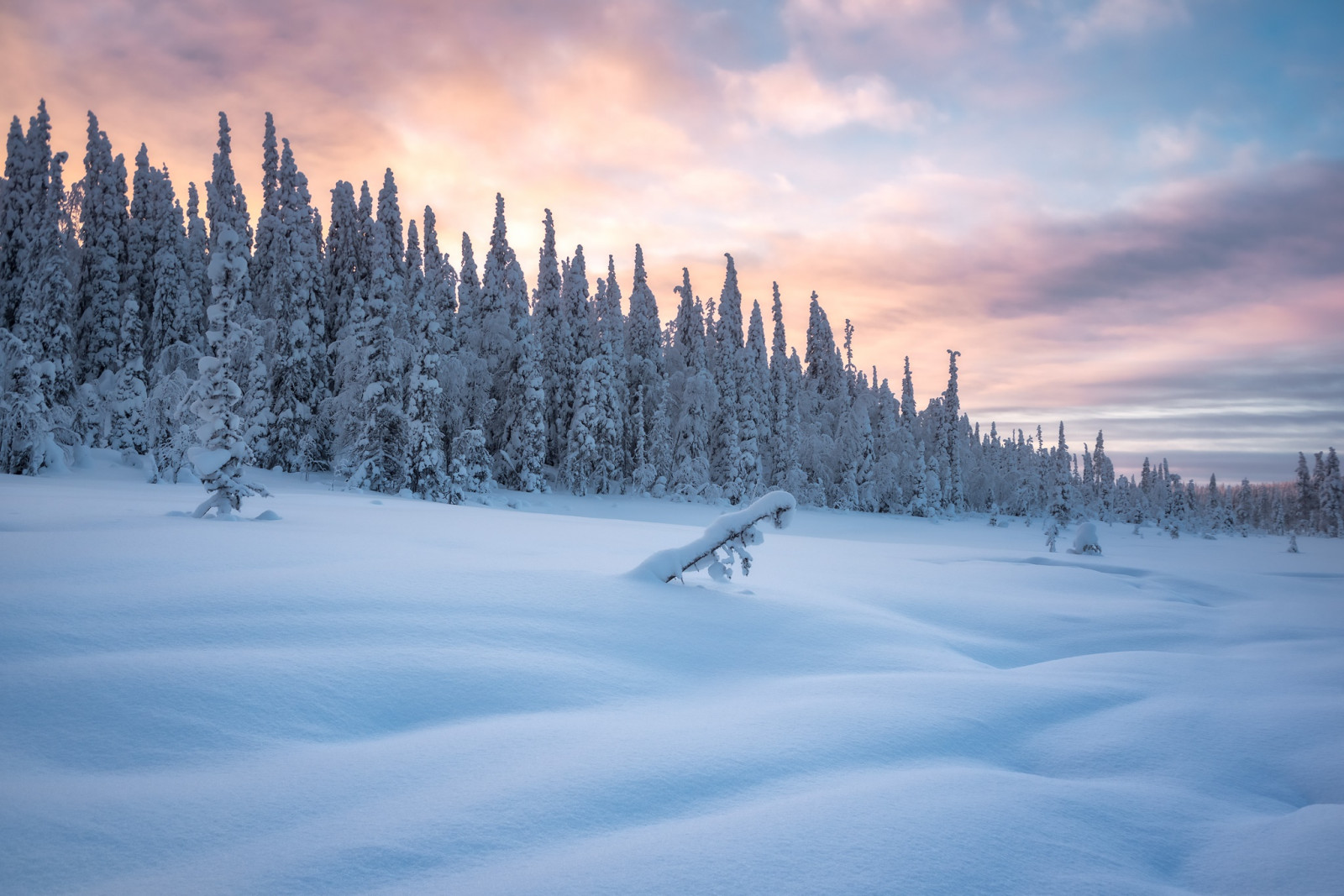 Sky, himmel, plante, atmosfære, sne, træ, Natural landscape, is kappe, lærk, hældning, iskold landskabsform, atmosfærisk fænomen, Terræn, Fryser, bjergrige landskabsformer, landskab, Evergreen, frost, geologisk fænomen, bjergkæde, Skov, rekreation, spruce fir forest, skumring, bjerg, Massif, vinter sport, skiudstyr, vinter, cumulus, horisont, nåletræ, Arctic, gletscher, piste, langrend, aften, solopgang, ryg, tundra, gran, fyrretræ, fyr familie, daggry, nat, ski touring, is, bakke, Alperne, vinter storm, stå på ski, sport, ski pole
