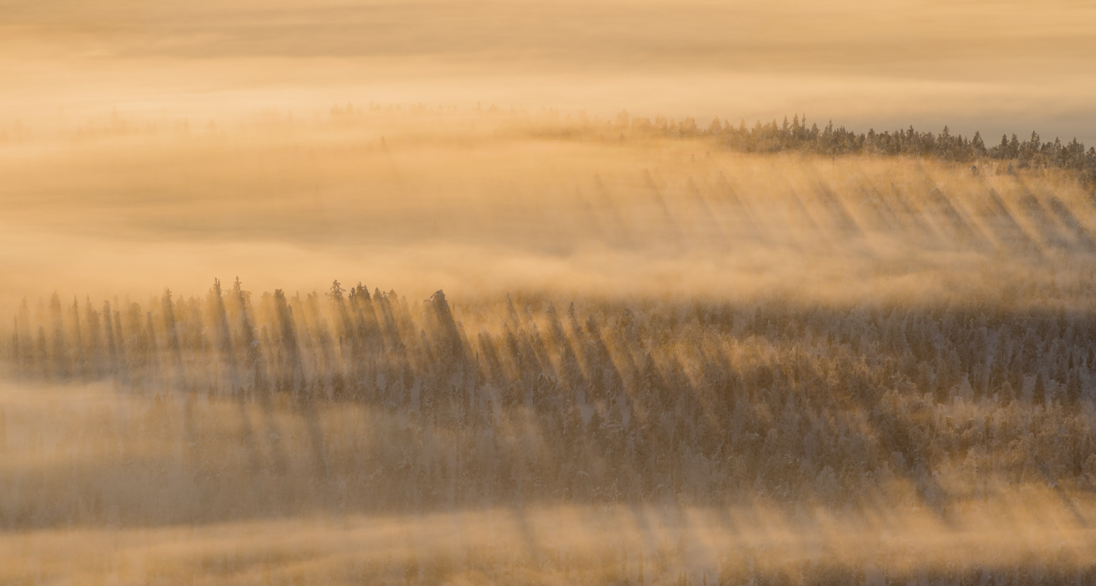 Lapland, Lappland, lappi, vn s, krajina, landscapecapture, Mistylandscape, mlha, mlhavý, Foggylandscape, mlha, les, sluneční paprsky, northernfinland, Severní, arcticweather, Snowytrees, snowyscenery, snowylandscape