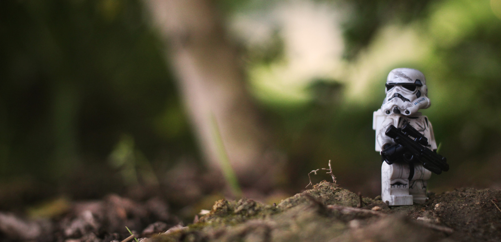 Kalifornie, osvětlení, makro, Cihlový, pole, tráva, Skála, Kánon, Kyle, objektiv, fotografování, rebel, hvězda, skály, zbraně, LEGO, fík, jezírka, smět, 4., mini, špína, mamut, stormtrooper, války, lívanec, 40mm, Zvyk, větvičky, hloubka, F28, SL1, minifigure, 2016, brickarms, Hardisty