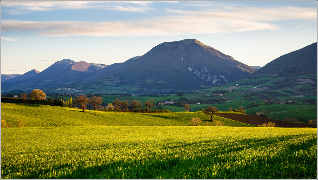 západ slunce, Itálie, Příroda, krajina, Nikon, scenérie, Italia, Drsný, Tramonto, natura, campo, Marche, paesaggio, grano, Macerata, d90, Castelraimondo, Gagliole