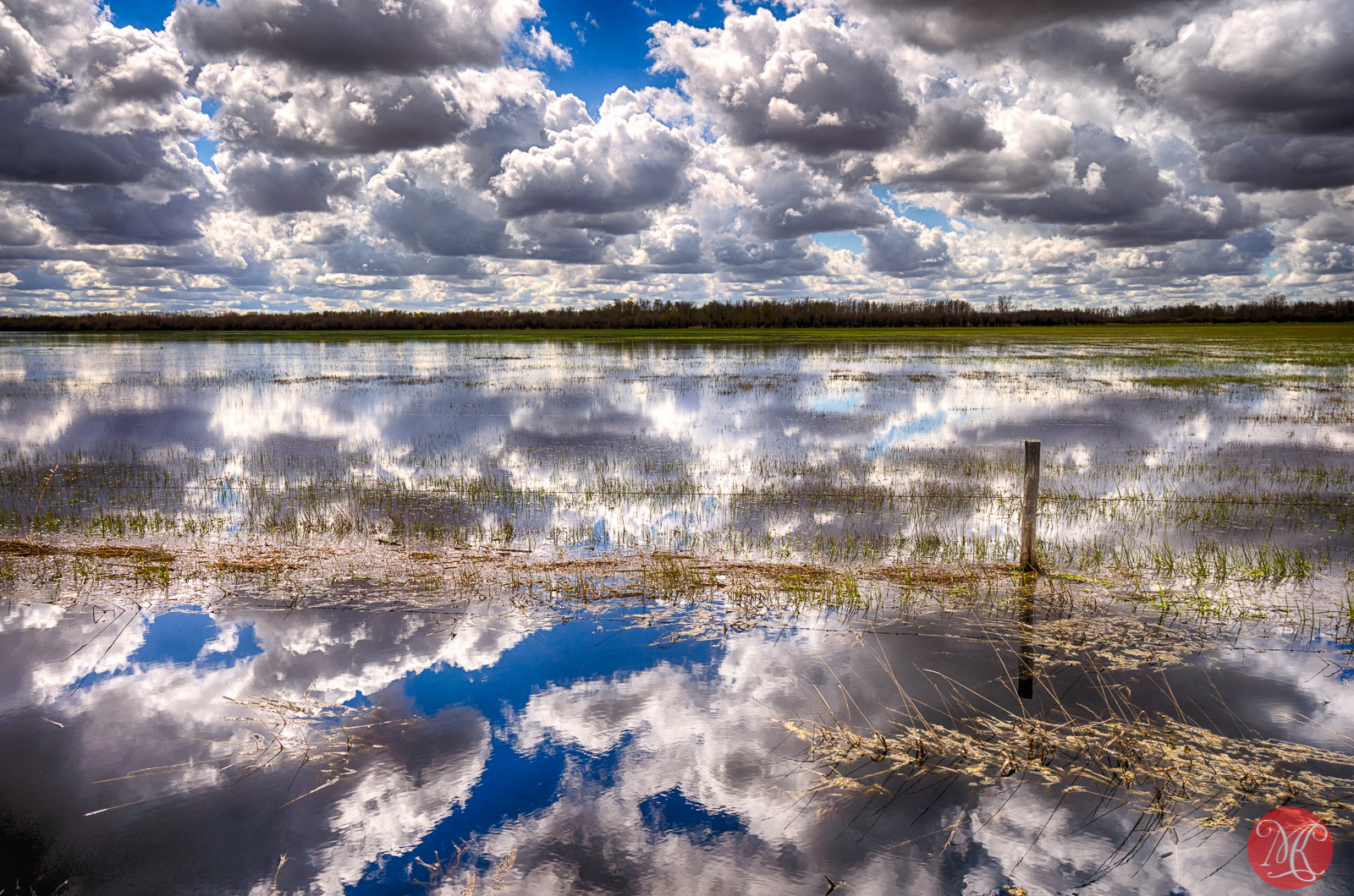 luce del sole, paesaggio, mare, lago, acqua, puntellare, riflessione, cielo, nuvole, calma, fiume, orizzonte, atmosfera, Canada, Alberta, primavera, Banca, zone umide, nube, albero, riflessi, giorno, palude, fenomeno meteorologico, cumulo, fenomeno, risorse idriche