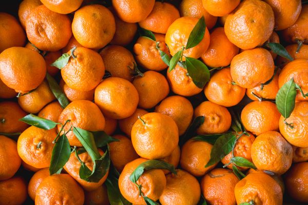 mandarins,fruit,citrus