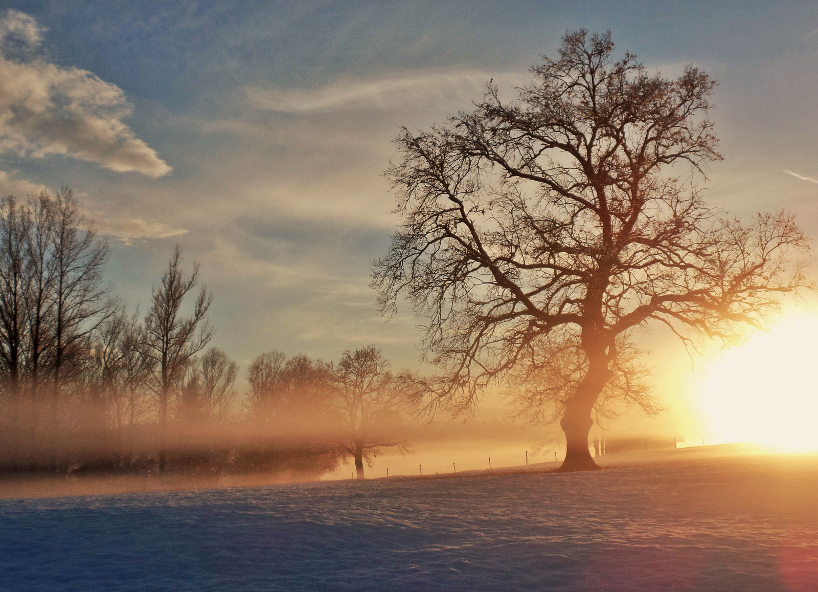 západ slunce, zima, sníh, strom, světlo, venkovní