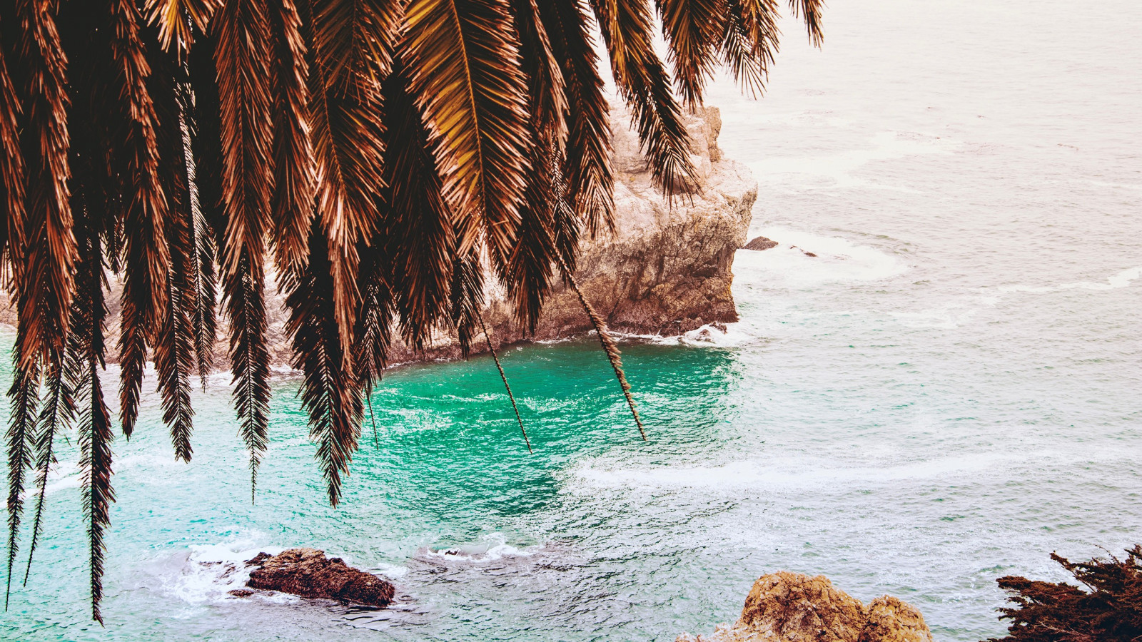sollys, hav, vand, natur, kyst, strand, kyst, tropisk vand, træ, sæson, ocean, bølge, krop af vand