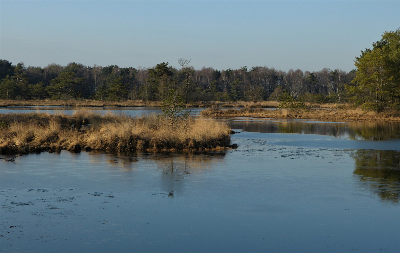 1330389, panasonicdmcfz150, Buurserzand, Natuurmonumenten, natuurgebied, přírodní rezervace, Twente, Overijssel, nederland, Nizozemí, Holandsko, Landschap, krajina, Landschaft, paysage, platinumheartaward