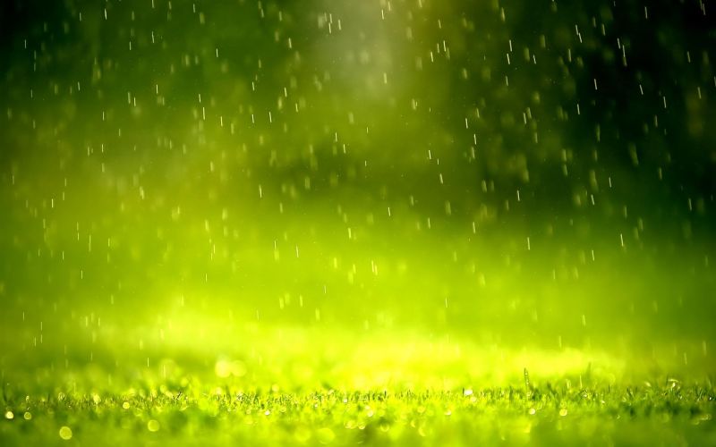 sunlight, grass, rain, green, Aurora, 1920x1200 px