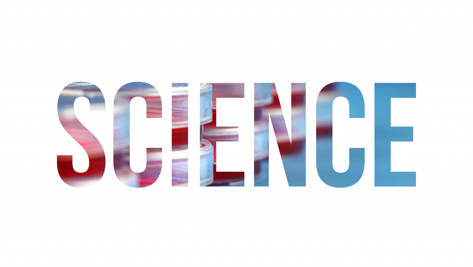 typographie, texte, logo, science, marque, Laboratoires, la biologie, Police de caractère, produit