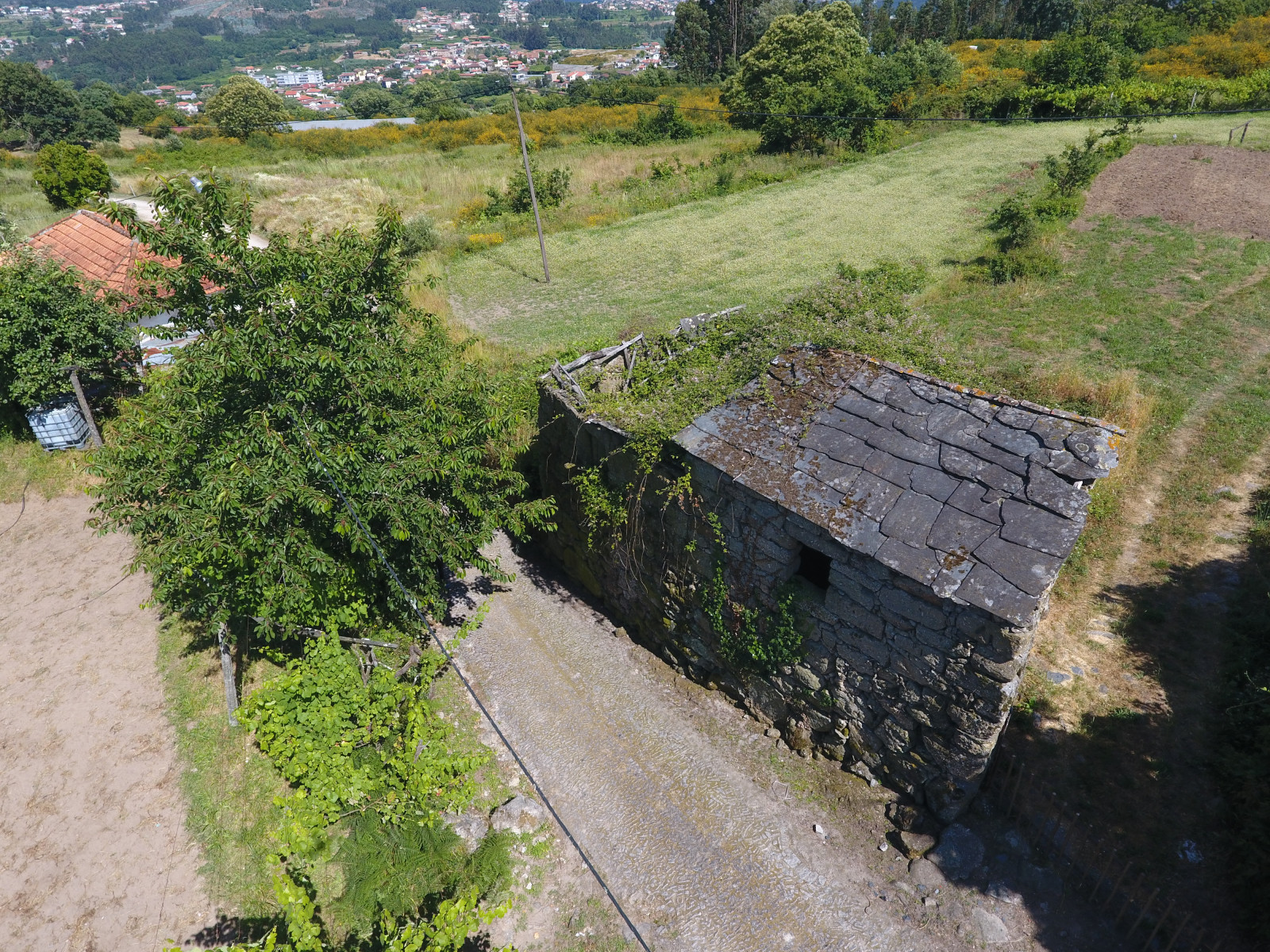 Příroda, hospodařit