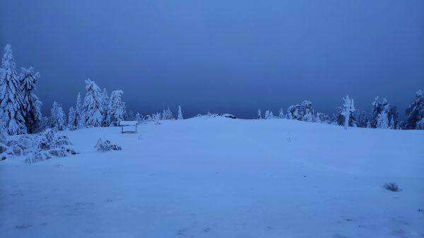 cloud, plant, atmosphere, sky, snow, slope