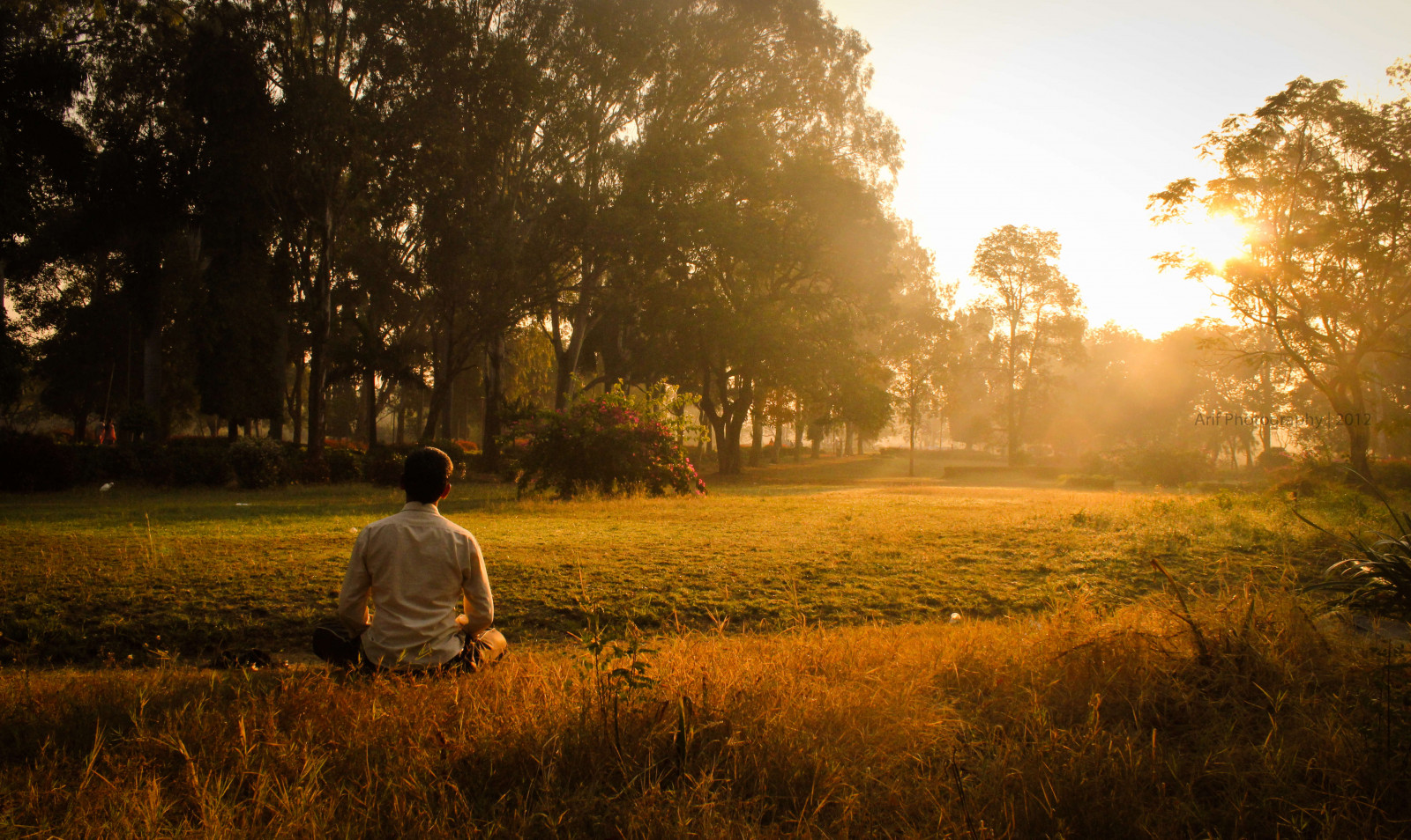 slunečnímu záření, krajina, les, západ slunce, Příroda, tráva, nebe, pole, svítání, večer, ráno, slunce, atmosféra, podsvícení, jaro, světlo, paprsky, strom, podzim, svítání, lučina, zlatá hodina, louka, prérie, venkov, počítač tapeta, tráva rodina, ou, přemýšlet, Hyderabad, osmaniauniversity