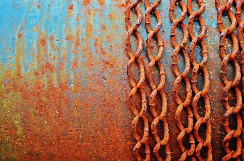 oranžový, voda, rez, textura, organismus, vzor oranžový, voda, rez, textura, organismus, vzor