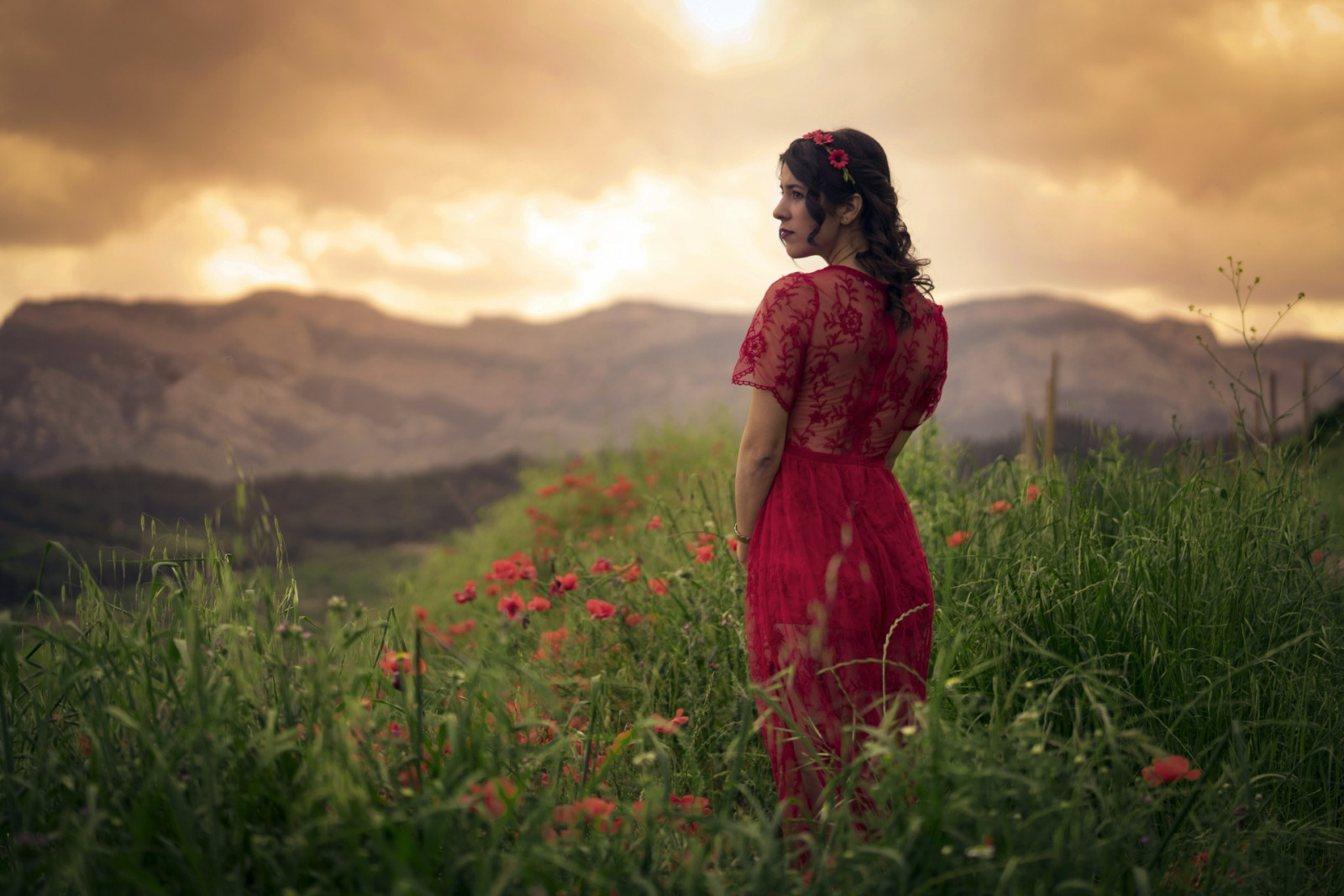 mujer, Flores, campo, pelo oscuro, vestido rojo, Plantas, Mujeres al aire libre