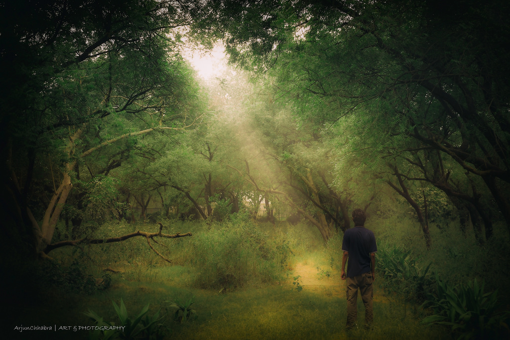 slunečnímu záření, stromy, krajina, les, Příroda, odraz, nebe, fotografování, silueta, mraky, zelená, modrý, ráno, mlha, slunce, Kánon, HDR, džungle, Drsný, Adobe, Lightroom, mokřadní, dynamický, UMĚNÍ, světlo, strom, scenérie, pokuta, primární, list, krása, dSLR, tma, 6d, canon6d, lr, výtvarné umění, eos, arte, canonphotography, Photomatix, ef, primelens, sLR, Snímek obrazovky, 40mm, CS5, PhotoArt, drama, zálesí, místo výskytu, přírodní prostředí, atmosférický jev, počítač tapeta, zeleň, lívanec, EFS, Arjun, photshop, finearts, Chhabra, canonraw, CR2, sureeal, canonef40mmf28, arjunchhabra