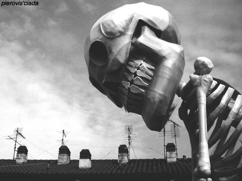 fotografování, Černý a bílý, monochromatické fotografování, černobílý, stock photography