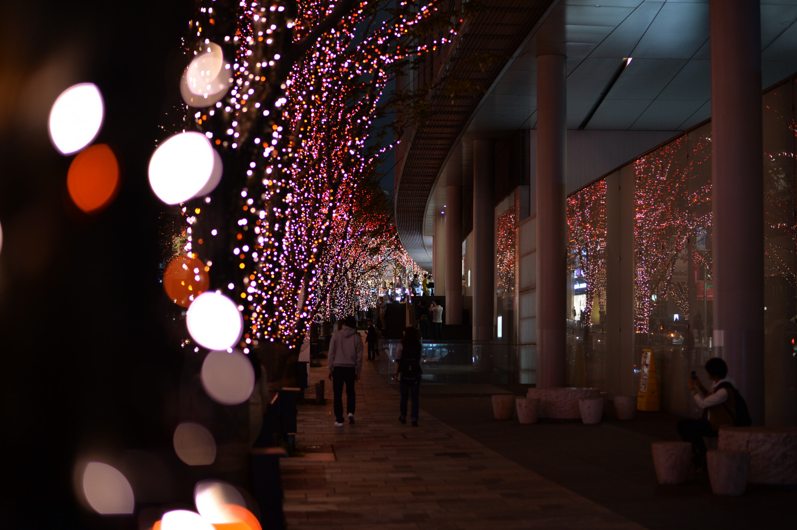 ญี่ปุ่น, กลางคืน, ตอนเย็น, Nikon, คริสต์มาส, ไฟคริสต์มาส, โตเกียว, Jp, เบา, สี, nikkor, ส่องสว่าง, แสงสว่าง, แสง, Df, roppongi, Keyakizaka, afs58mmf14g, afsnikkor58mmf14g, ส่องสว่าง, ตกแต่งคริสต์มาส