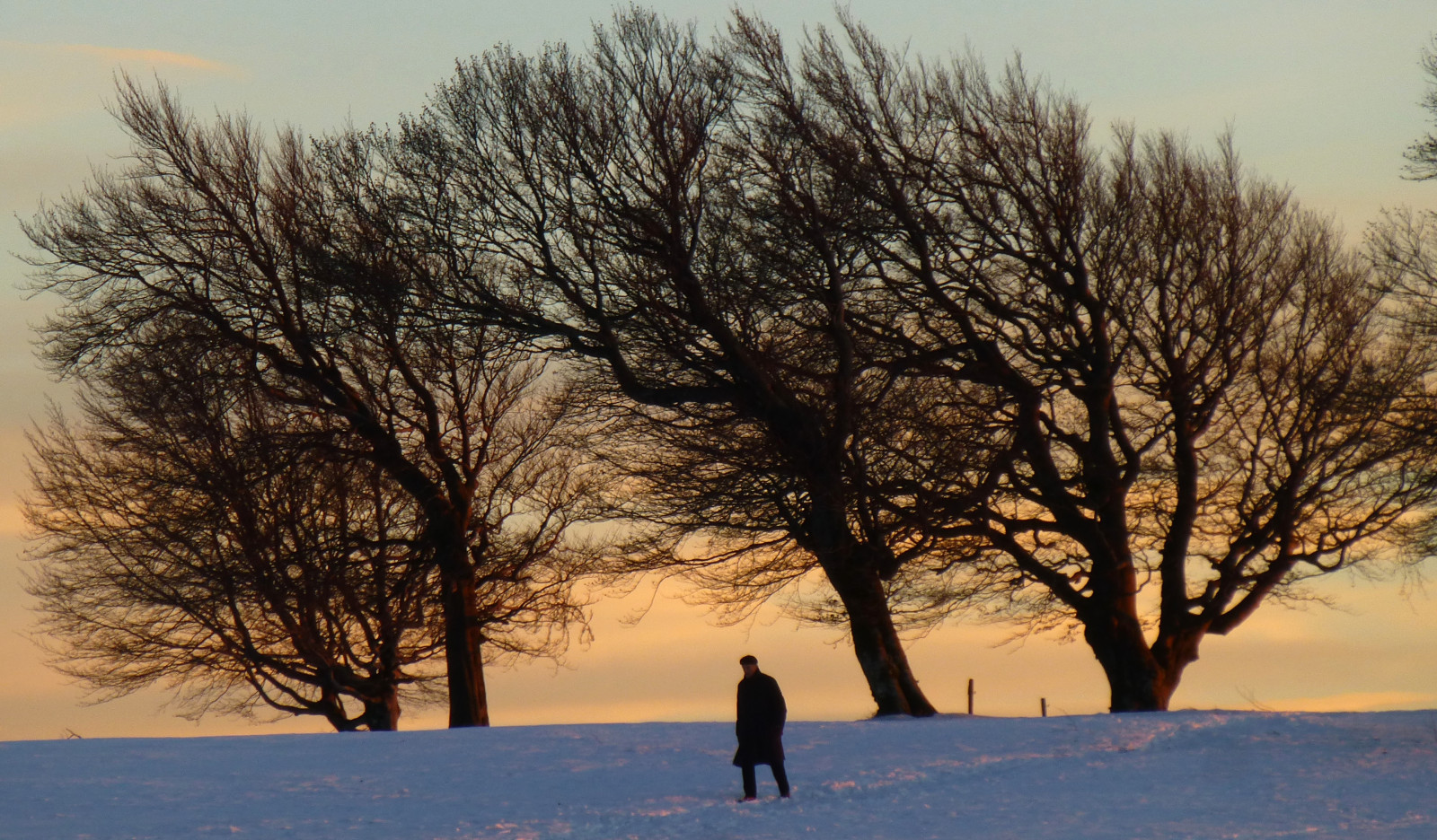krajina, západ slunce, sníh, zima, větev, ráno, mráz, cesta, zmrazení, paysage, Soumrak, neige, Tramonto, strom, flickr, Landschaft, počasí, svítání, rostlina, sezóna, blinkagain, mygearandme, paisaje, pěkný, Nieve, invierno, hiver, arbre, mygearandmepremium, sonnenuntergang, inverno, stagione, chemin, enjoyinglife, neve, puestadesol, saison, Užívat si život, zimní čas, snieg, blogpfastatt, Pfastatt, promeneur, randonneur, temporada, atmosférický jev, dřevina