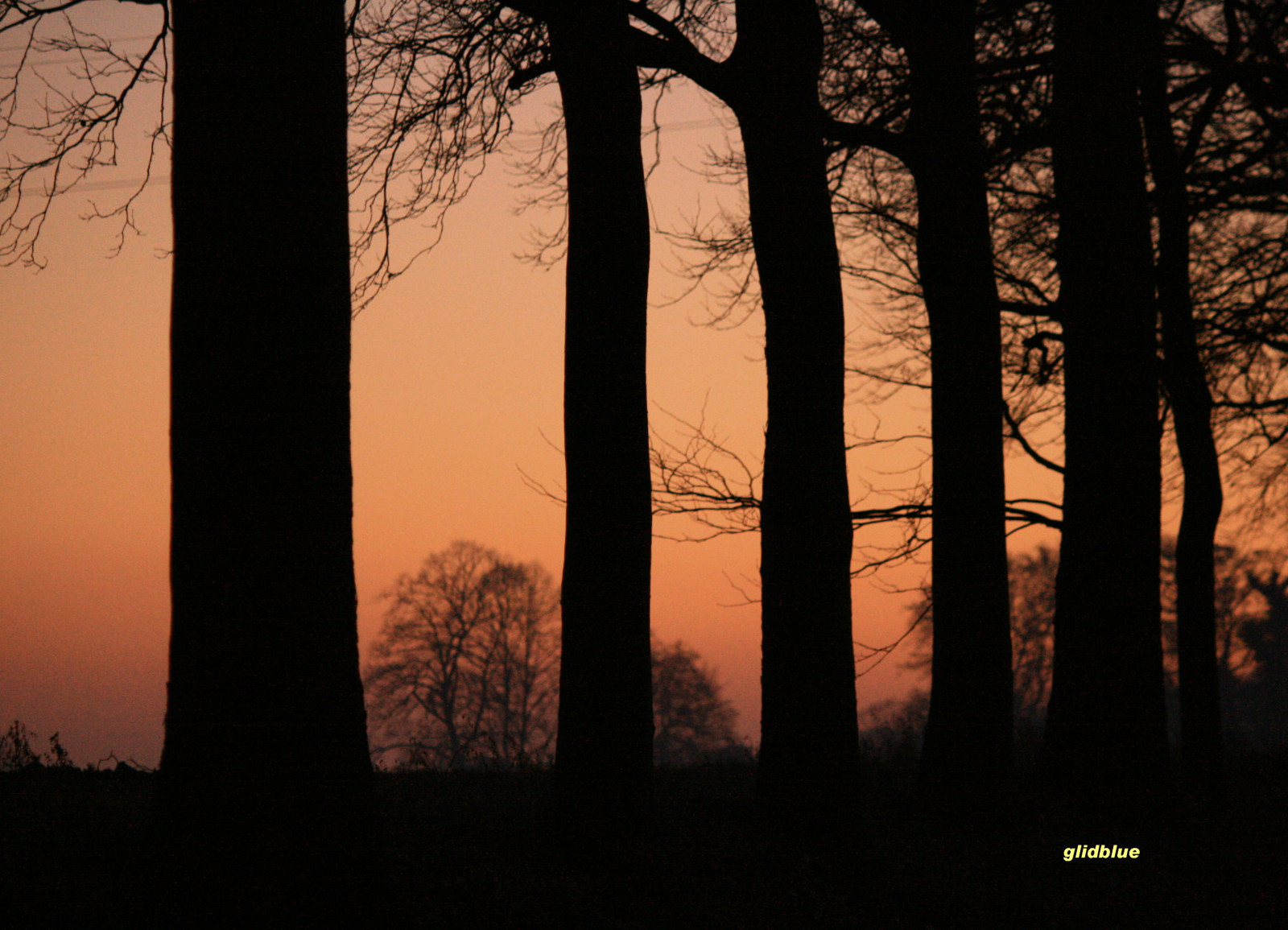 slunečnímu záření, stromy, les, Černá, temný, západ slunce, noc, Příroda, Červené, nebe, zima, silueta, dřevo, větev, svítání, panoráma, večer, ráno, horizont, atmosféra, soumrak, Belgie, Noir, růž, strom, svítání, rostlina, siluety, invierno, arboles, tma, hiver, rosso, inverno, aplusphoto, vzpomínky, arbres, alberi, Wallonie, siluetas, počítač tapeta, dřevina, kufr, glidblue, temný, jev, suvenýry, Ricordi, coucherdusoleil, scuro, r giondenamur, stock photography