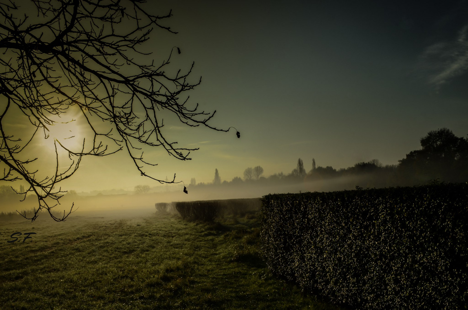 slunečnímu záření, západ slunce, noc, Příroda, odraz, tráva, nebe, svítání, večer, ráno, mlha, slunce, měsíční svit, horizont, atmosféra, soumrak, světlo, mrak, strom, mlha, počasí, svítání, nálada, tma, sf, Nebel, atmosférický jev, dřevina, sakerfalkefotografie