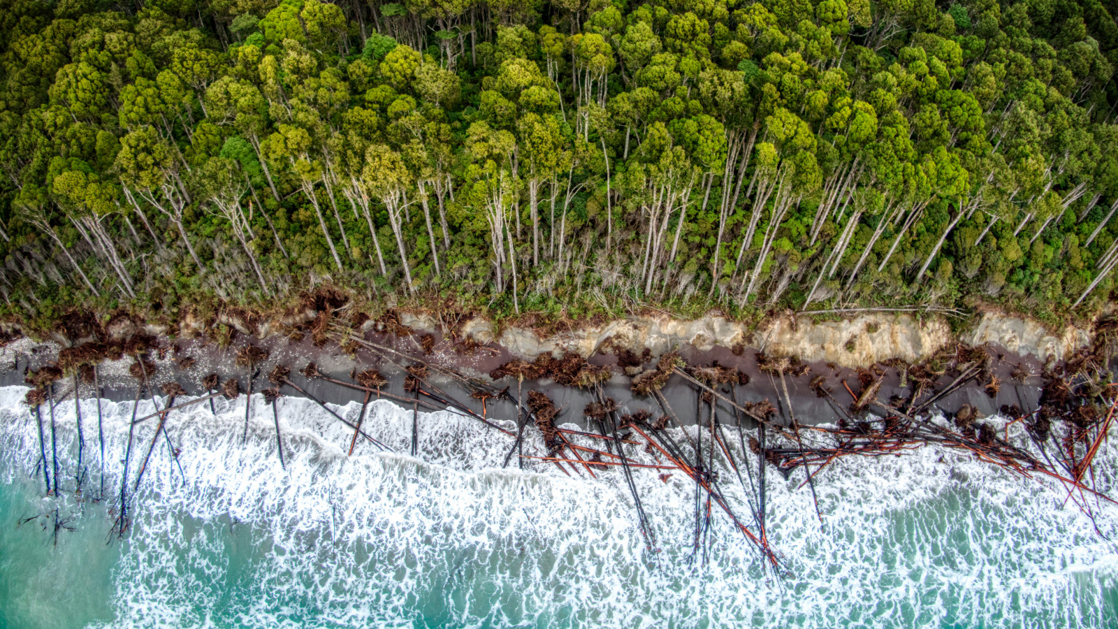 Wallpaper photography, landscape, haast, New Zealand, west coast