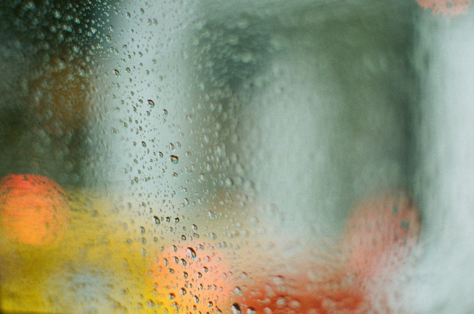 zblízka, textura, voda, déšť, makro fotografie