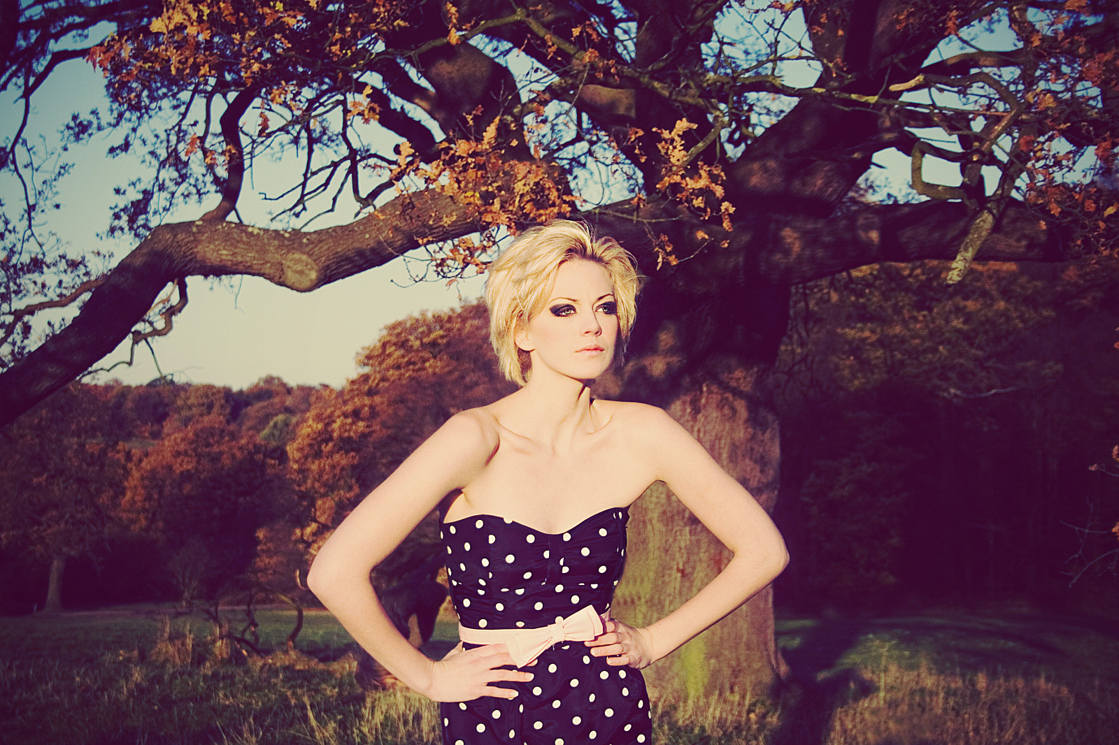 portrét, Londýn, móda, pás, model, šaty, krystal, polka, luk, tečky, Karina