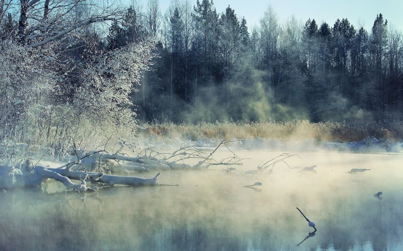 Landschaft, Wald, Wasser, Natur, Betrachtung, Schnee Landschaft, Wald, Wasser, Natur, Betrachtung, Schnee