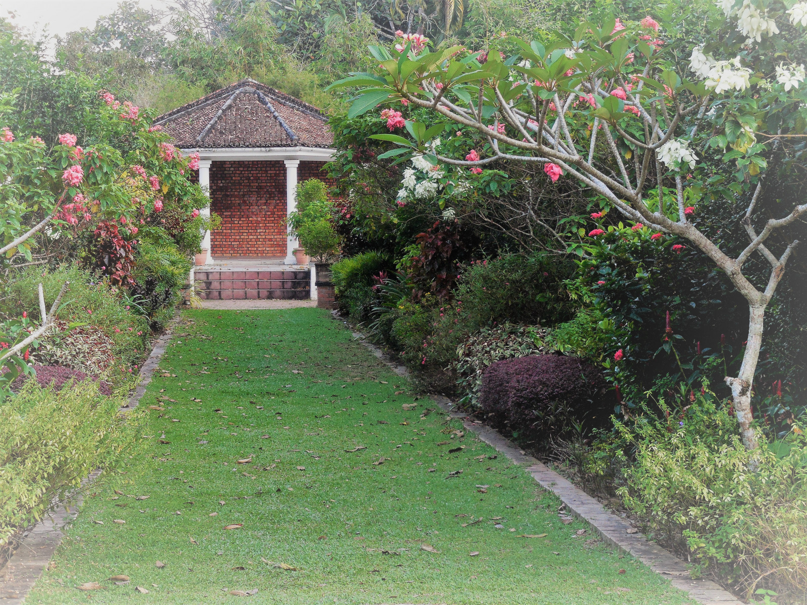 stromy, krajina, květiny, zahrada, Asie, tráva, venku, rostliny, Dům, křoví, ostrov, Malajsie, cesta, chodník, osa, chalupa, zadní dvorek, Průhled, altán, majetek, strom, květ, yard, rostlina, vegetace, domů, penang, plantáž, Jihovýchodní Asie, pavilón, trávník, statek, keř, outdoor struktura, vlastnictví, nemovitost, pozemek pozemek, hranice, terénní, živý plot, Penangbotanicalgardens, Anglický styl, Frangipani