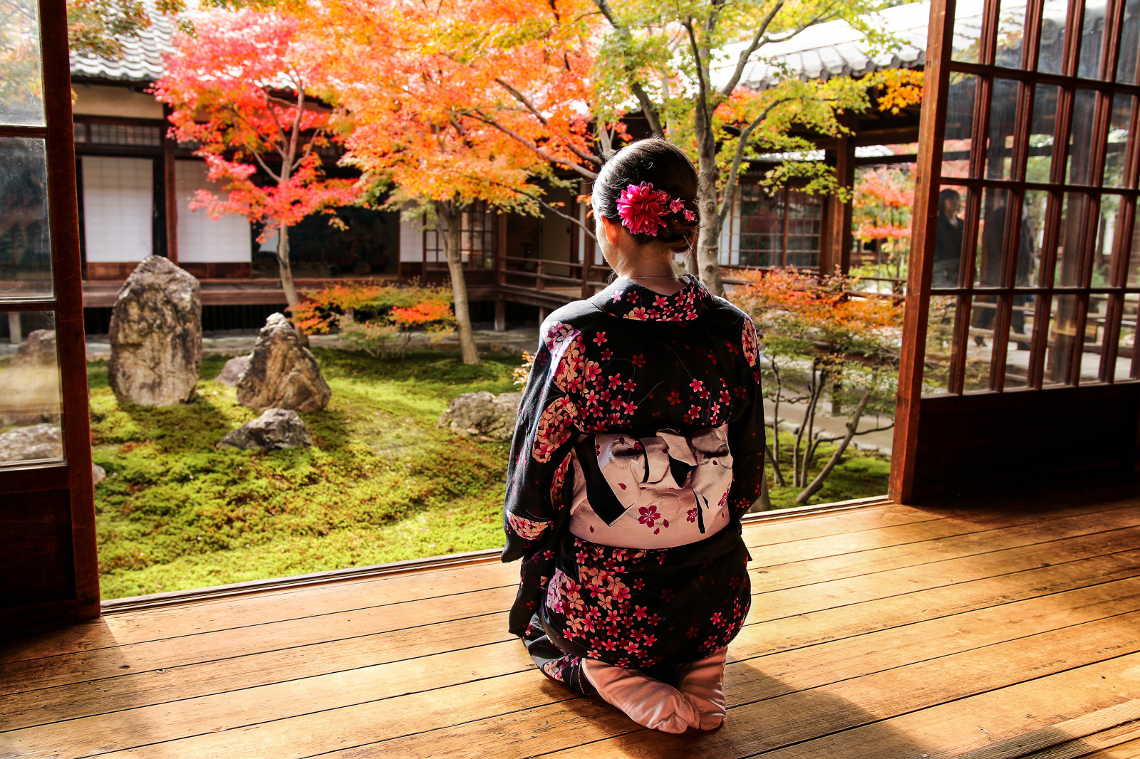 Wallpaper temple, time, falling, kimono, zen, clothing, Kyoto, tree