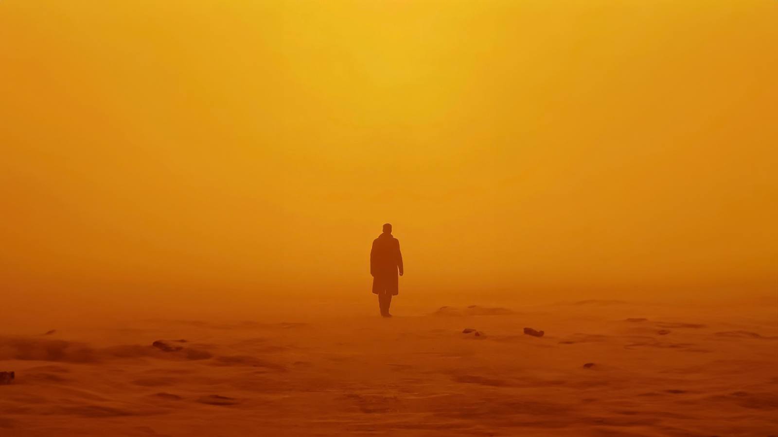 Blade Runner, ørken