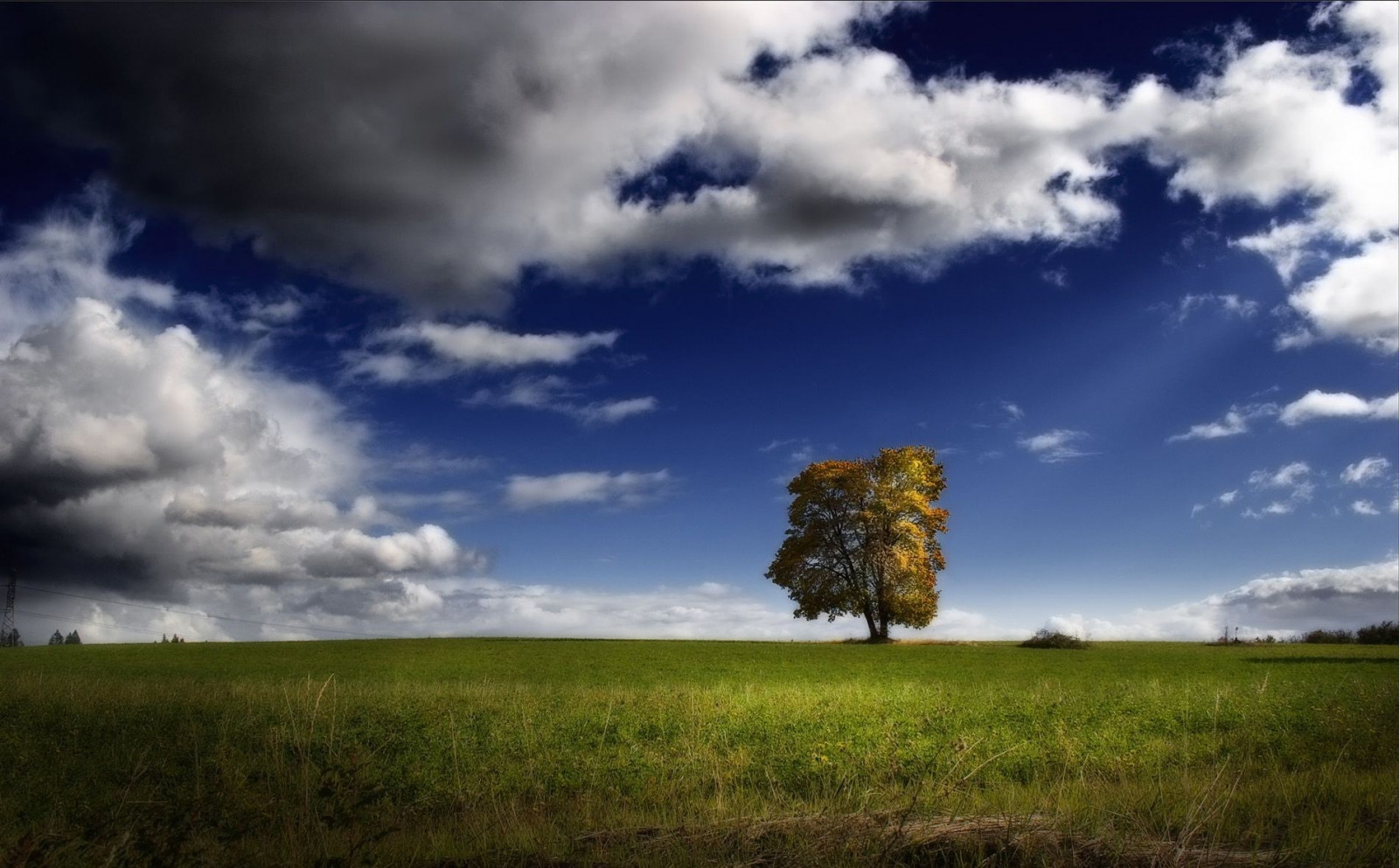 zonlicht, bomen, landschap, heuvel, natuur, gras, hemel, veld-, wolken, ochtend-, wind, horizon, atmosfeer, schemer, wolk, boom, weer, dageraad, grasland, weide, vlakte, prairie, landelijk gebied, atmosferisch fenomeen, meteorologisch verschijnsel, stapelwolk