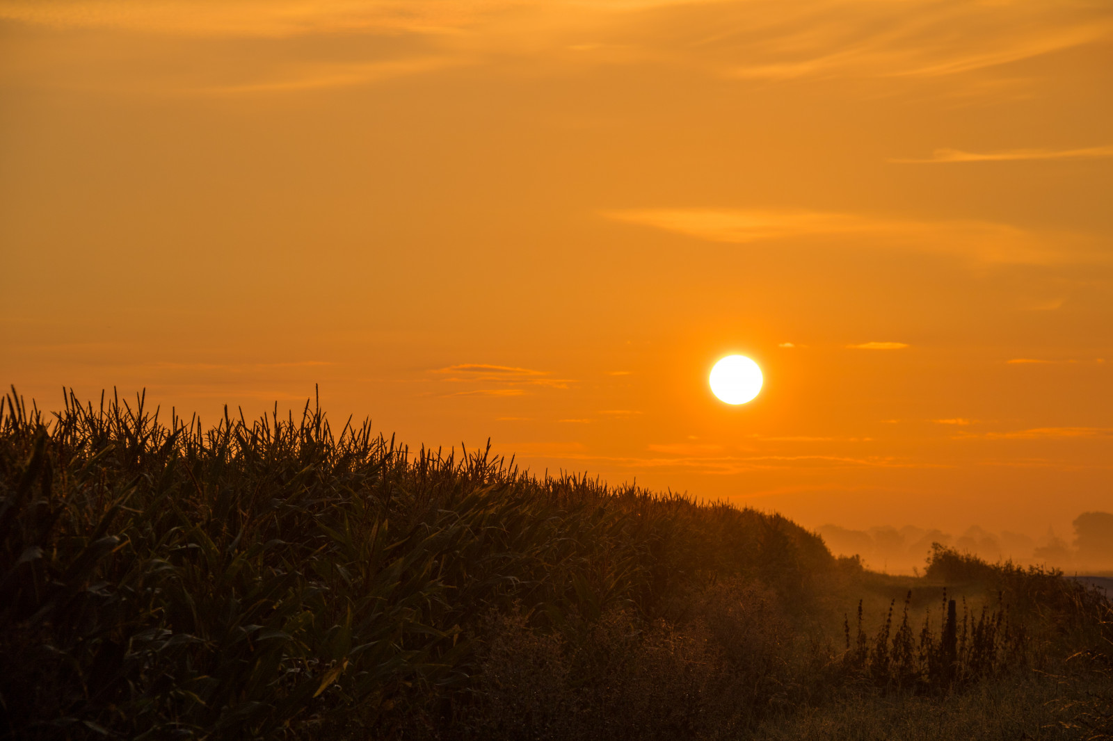 sollys, landskab, solnedgang, hav, bakke, himmel, Mark, vej, solopgang, aften, morgen, tåge, Sol, horisont, skumring, Sol, landdistrikterne, Sky, tåge, daggry, goldenhour, himmel, DIMMA, landskabet, Moln, landsbygd, soluppg ng, s dersl tt, landskap, exif model canoneos760d, geocountry, kamera gør kanon, geocity, kameramodel canoneos760d, geostate, geolocation, exif linse efs18200mmf3556is, exif gøre kanon, exif isospeed 100, exif åbningen 80, exif focallength 110mm, Morgon, gyllenetimmen, VAG, Dalk Pinge, prærie, atmosfærisk fænomen, efterglød, himmellegeme, rød himlen om morgenen