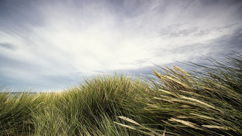 sunlight, landscape, sea, nature, hill, sand sunlight, landscape, sea, nature, hill, sand