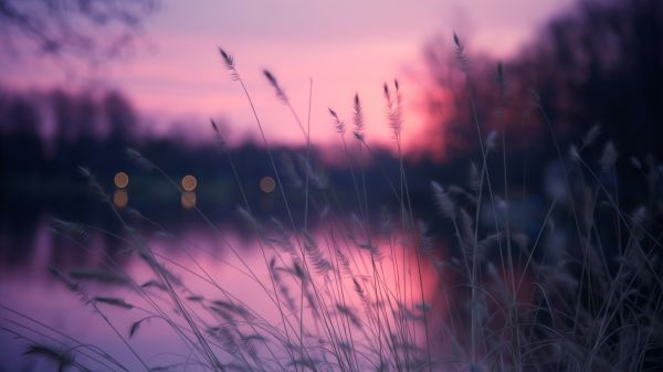 cloud,sky,plant,atmosphere,purple,twig