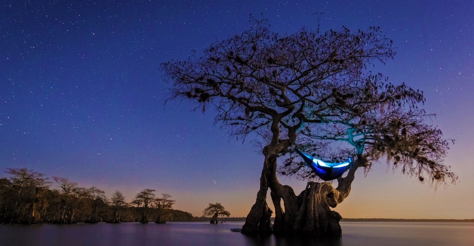 stromy, krajina, noc, jezero, Příroda, odraz, nebe, večer, ráno, měsíční svit, hvězdné noci, soumrak, Florida, Houpací sítě, cypřiš, strom, svítání, rostlina, dřevina