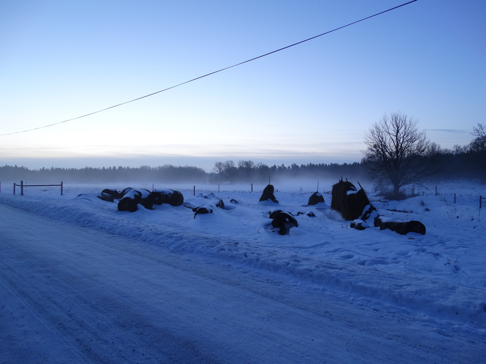 slunečnímu záření, krajina, nebe, sníh, zima, silnice, svítání, led, večer, ráno, mráz, horizont, Švédsko, Arktický, zmrazení, tundra, Link ping, Sverige, mrak, strom, svítání, landskap, gryning, zimní bouře, nightshots, sterg tland, Tinner, eklandskap, Tinner eklandskap