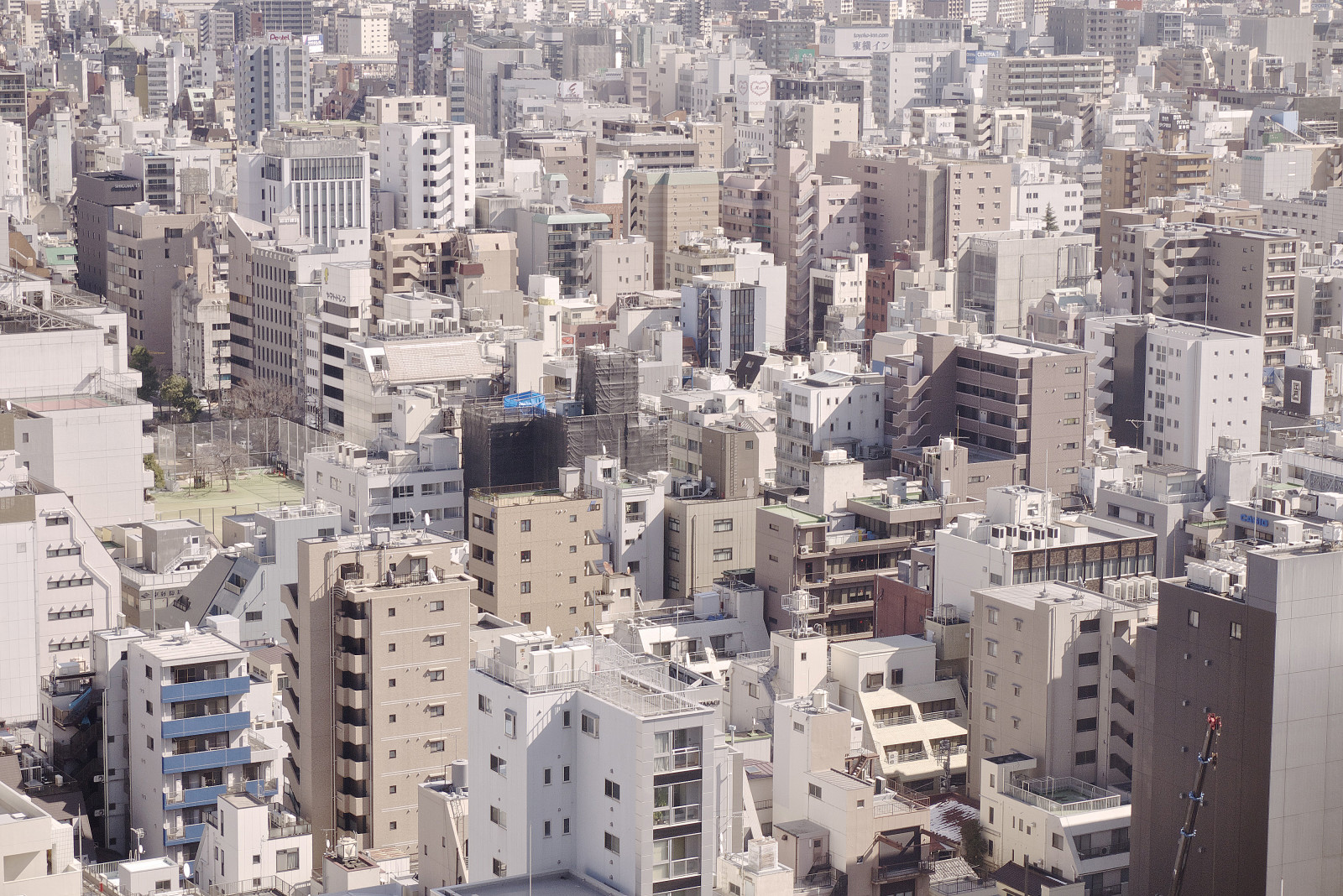 Wallpaper : Japan, city, cityscape, building, skyline, skyscraper, bird