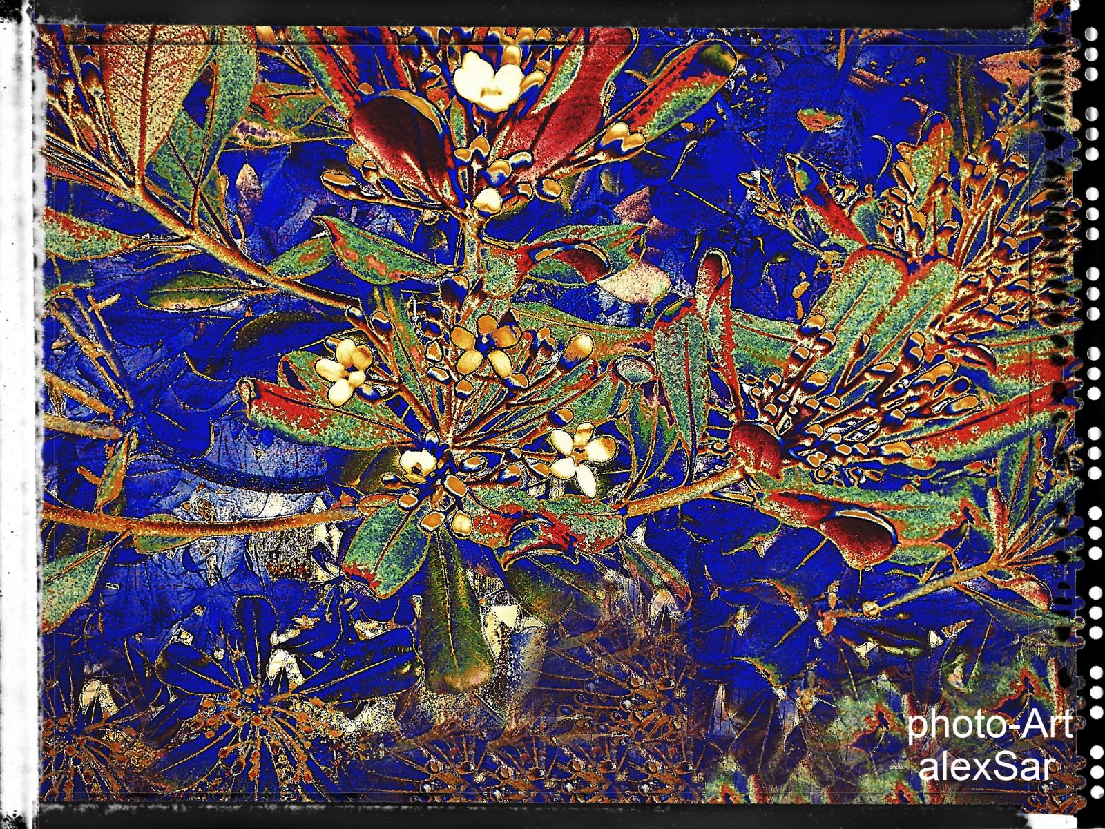 maleri, Photoshop, vindue, kunstværk, glas, moderne, KUNST, Foto, maling, materiale, design, fotografi, digital, tekstil, moderne kunst, psykedelisk kunst, photopainting, digitalartwork, moderndigitalart, gobelin