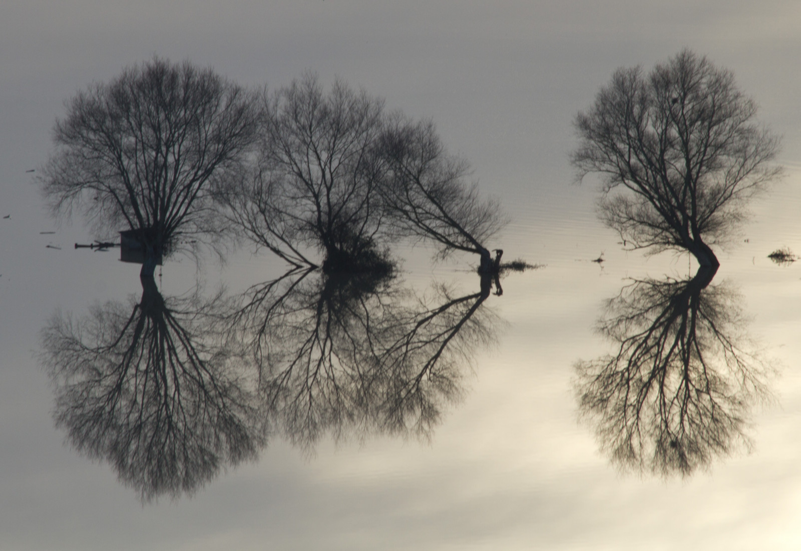 stromy, krajina, černobílý, voda, Příroda, nebe, sníh, zima, déšť, větev, uklidnit, Anglie, večer, ráno, mlha, mráz, hospodařit, Pod vodou, smutek, atmosféra, životní prostředí, Spojené království, listopad, zmrazení, katastrofa, Vrba, zaplavit, klid, 2012, mrak, strom, podzim, mlha, počasí, zemědělství, odrazy, větve, pole, silný, Spojené království, Gettyimages, Británie, přemet, idylický, canoneos7d, větvička, počítač tapeta, Černý a bílý, monochromatické fotografování, dřevina, Glastonbury, somersetlevels, povodně, asociativní, studny, glastonburytor, povodňová, zaplavila, ztráty, zaplavena, butleighmoor, riverbrue, úhlový, peacefulscene, stock photography