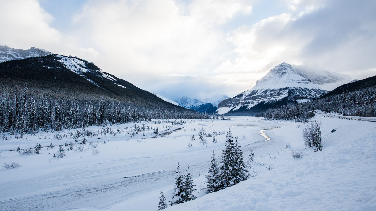 krajina, sníh, zima, horský průsmyk, borovice, Alpy, vrcholek, lyžování, hřbet, hora, počasí, sezóna, piste, 2560x1440 px, horských reliéf, landform, geografický rys, geologický fenomén, pohoří, zimní sport, lyžařské túry, ski horolezectví