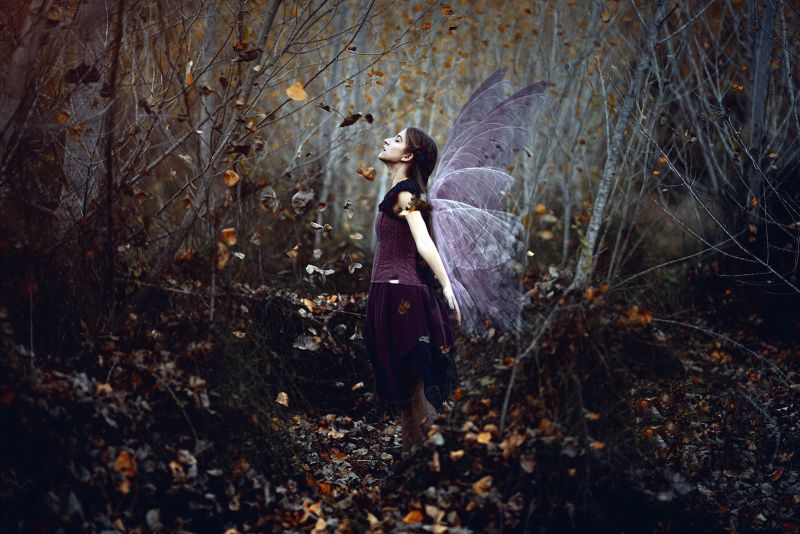 křídla, ženy, fantasy dívky, ženy venku, Příroda, zavřenýma očima křídla, ženy, fantasy dívky, ženy venku, Příroda, zavřenýma očima