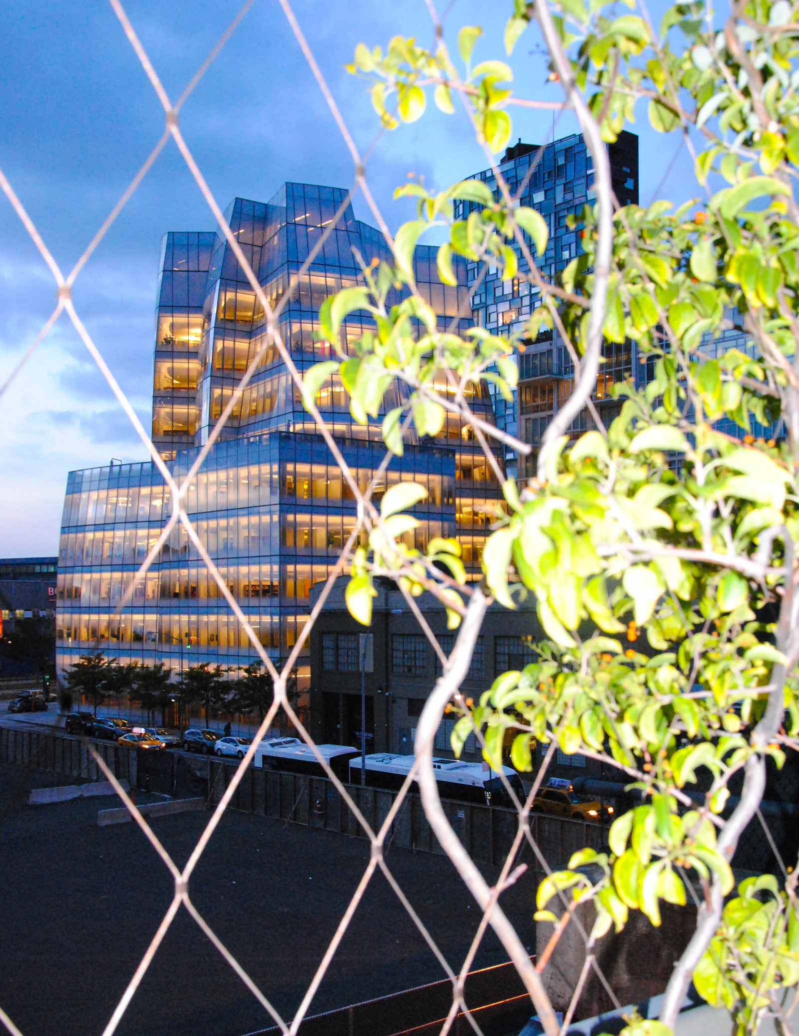 Sonnenlicht, Park, USA, Manhattan, Gebäude, New York, Urbannatur, uns, Fleischverpackung, Railline, Die highline, Theiacbuilding