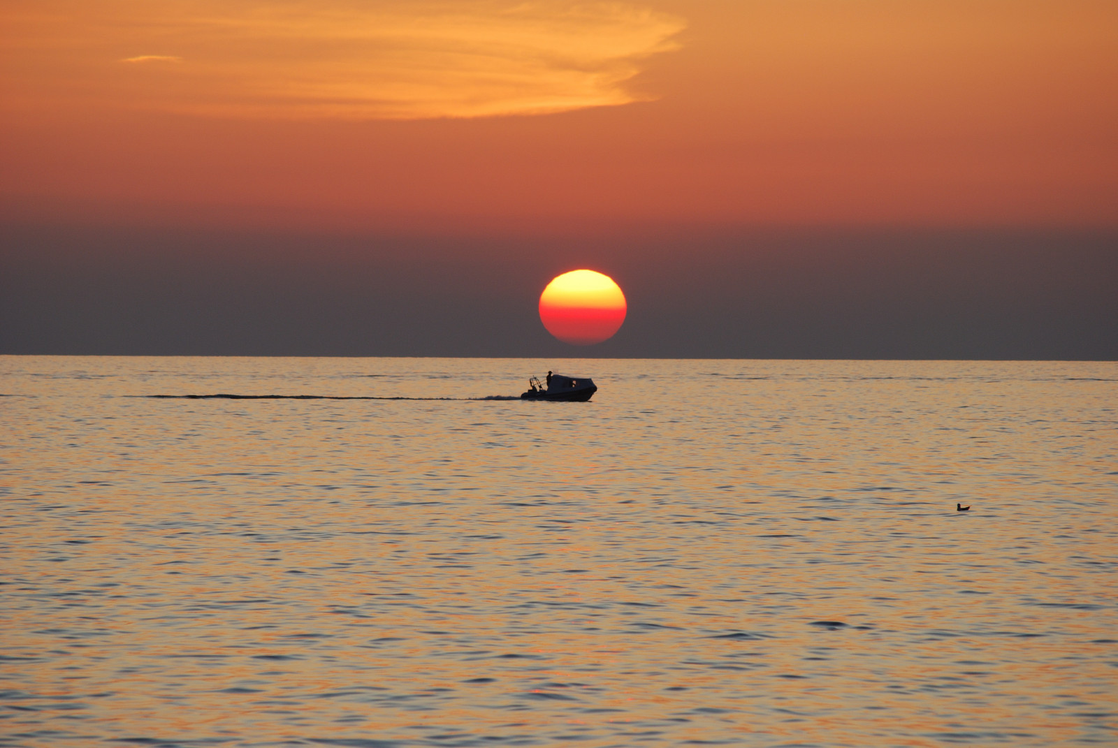 샌프란시스코, 중국, 캘리포니아, 생일, 공원, 크리스마스, 거리, 새로운, 시티, 뉴욕, 영국, 여행, 여행, 가족, 꽃들, 푸른, 겨울, 혼례, 친구, 일몰, 빨간, 파티, 여름, 휴가, 초상화, 영국, 하늘, 사람들, bw, 이탈리아, 음악, 식품, 미국, 화이트, 눈, 뉴욕, 캐나다, 파리, 프랑스, 꽃, 녹색, 런던, 미술, 바닷가, 자연, 물, 제전, 일본, 밤, 정경, 독일, 장난, 사진술, 음악회, 스페인, 니콘, 유럽, 대만, 호주, 신자들, 마이 게란 트 메