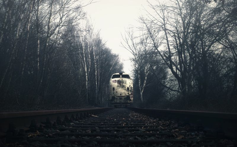 ferrovia, treno, veicolo, buio, alberi