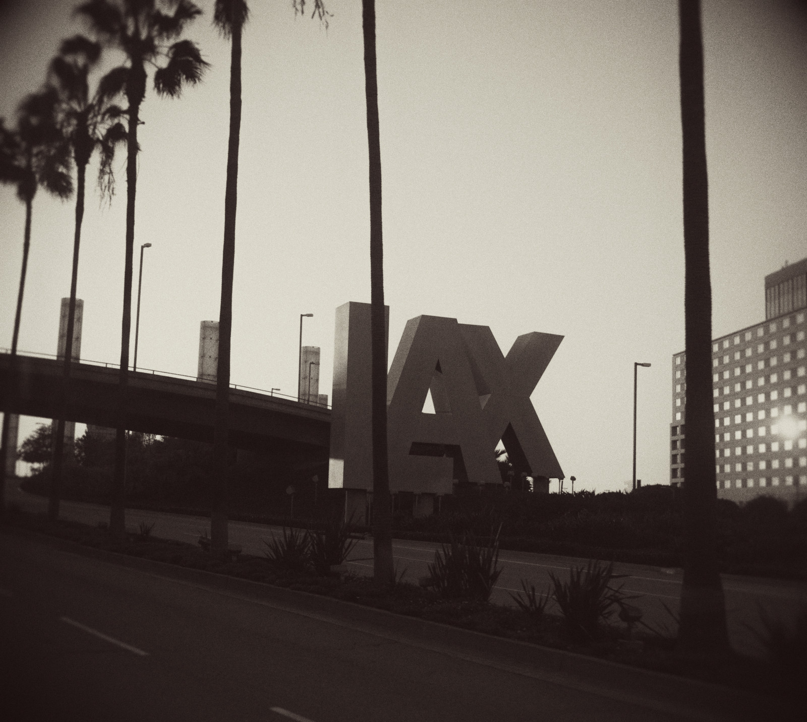 architektura, městský, nebe, fotografování, slunce, Kánon, čáry, letiště, struktura, LAXNÍ, úhel, Mono, fullframe, cestovat, nahoru, palmy, rozmazat, dSLR, 6d, canon6d, proud, dlaněmi, Černý a bílý, čtverce, Arport, Fullframedslr