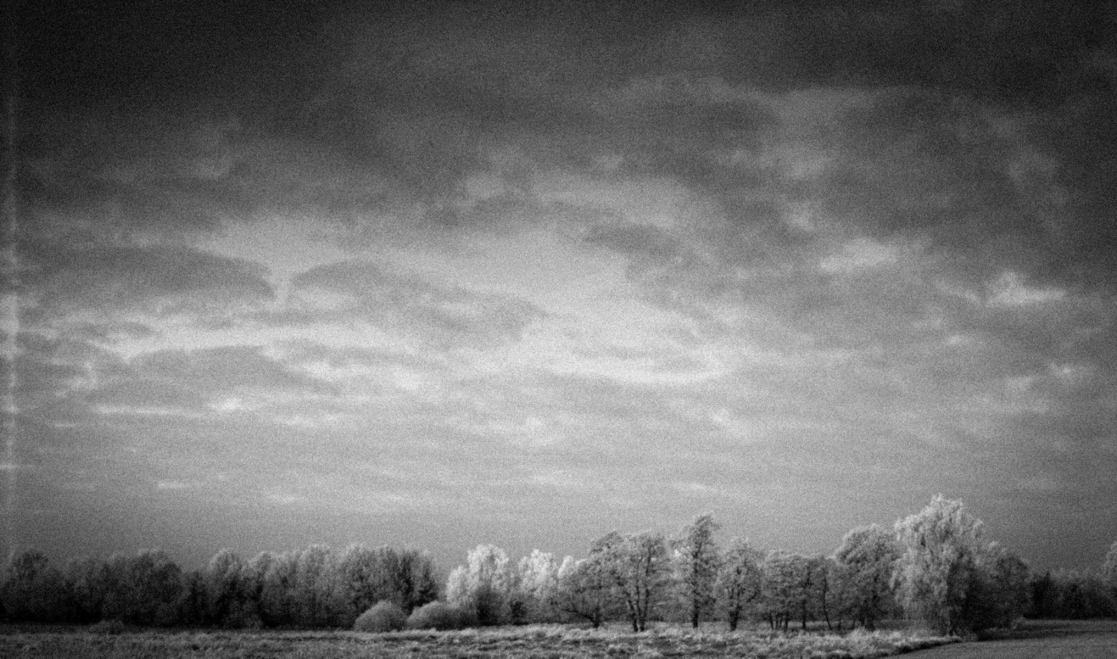 Baume, ff135, asa100, Pflanzen, Strase, agfapgotopresica100, 20170105, zima, Prakticasupertl1000, mráz, st DTE, anderlingen, raureif, 35MM, analogový, Landschaft, d rfer, siedlungen, agfaprecisa100, Agfa, Praktica, Diafilm, Forst, foren, pole, stromy, krajina, Epson, V800