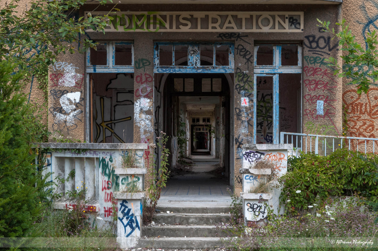 starý, okno, ulice, architektura, Příroda, městský, budova, zřícenina, opuštěný, Dům, zelená, Ztracený, dějiny, Francie, grafiti, Evropa, rozklad, zřícenina, chalupa, struktura, UMĚNÍ, Krásná, strom, květ, prozkoumat, krása, pouliční umění, historický, opustit, domů, histoire, místo, urbanart, fasáda, zapomenutý, abandonedplace, abandonado, sousedství, nemovitost, urban exploration, vyřazené, správa, altán, architectura, Opustit