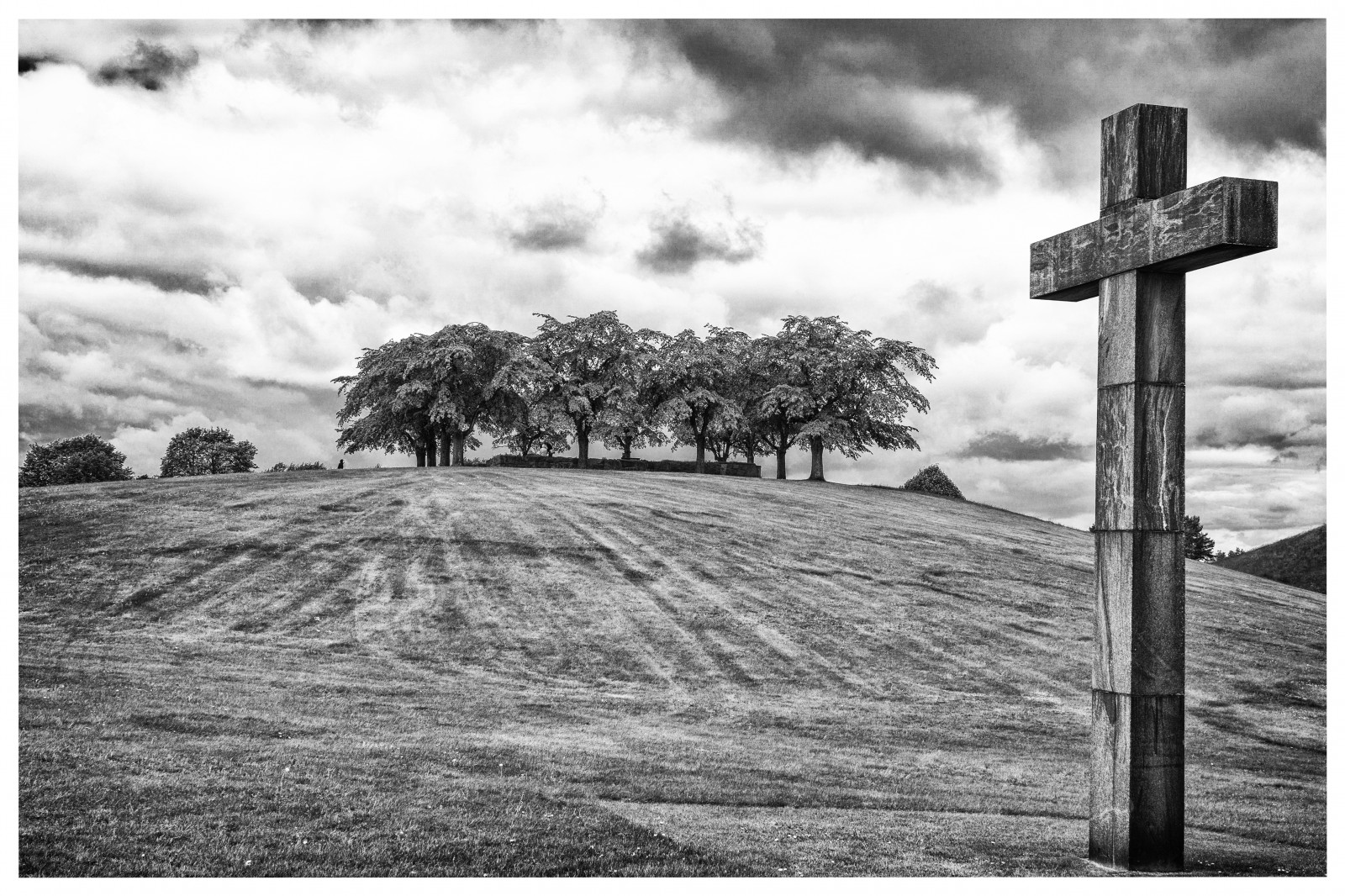 CORFOTO Sfondo 3x2 M Albero Foresta Rurale – Bianco E Nero Per Ritratti Fotografici E Studio