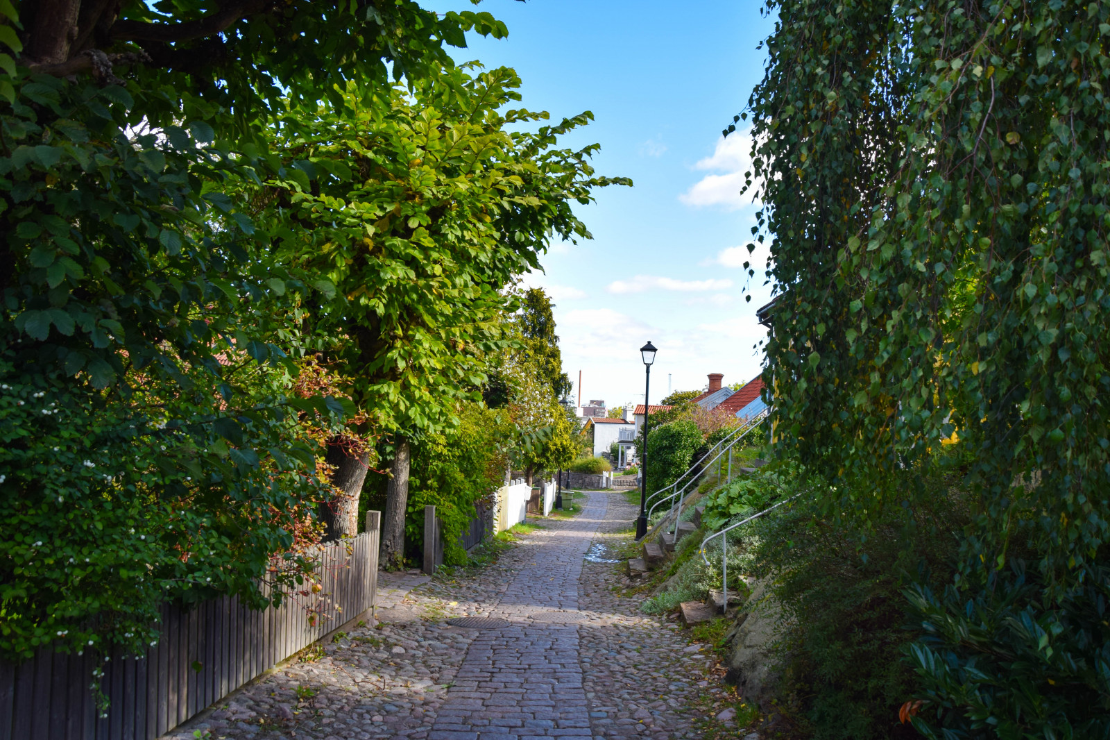 slunečnímu záření, zahrada, město, nebe, park, silnice, mraky, zelená, Švédsko, Evropa, majetek, strom, podzim, list, květ, venkovní, sezóna, alej, domy, dlažební kostky, sm půdy, woodenhouses, Oskarshamn, besv ret, besv rsgatan, stezka, vodní, botanika, dřevina, sousedství, keř