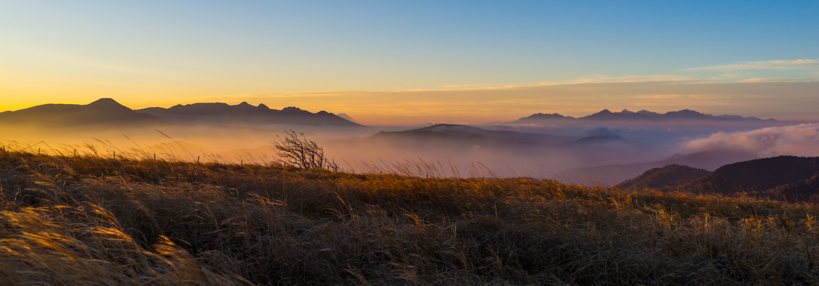 แสงแดด, แนวนอน, พระอาทิตย์ตก, เนินเขา, หญ้า, ท้องฟ้า, ฟิลด์, พระอาทิตย์ขึ้น, ตอนเย็น, เช้า, หมอก, ขอบฟ้า, โซนี่, บรรยากาศ, อุทยานแห่งชาติ, ถิ่นทุรกันดาร, mount scenery, RX1R, สันเขา, เมฆ, ต้นไม้, ฤดูใบไม้ร่วง, ภูเขา, รุ่งอรุณ, ทุ่งหญ้า, ทุ่งหญ้า, ไฮแลนด์, รุ่งสาง, วอลล์เปเปอร์คอมพิวเตอร์, ลักษณะภูมิประเทศที่เป็นภูเขา, เทือกเขา, ลดลง, อีโครีเจียน, dscrx1r